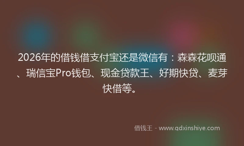 2026年的借钱借支付宝还是微信有:森森花呗通、瑞信宝Pro钱包、现金贷款王、好期快贷、麦芽快借等。