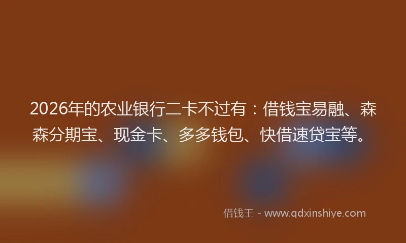 2026年的农业银行二卡不过有：借钱宝易融、森森分期宝、现金卡、多多钱包、快借速贷宝等。