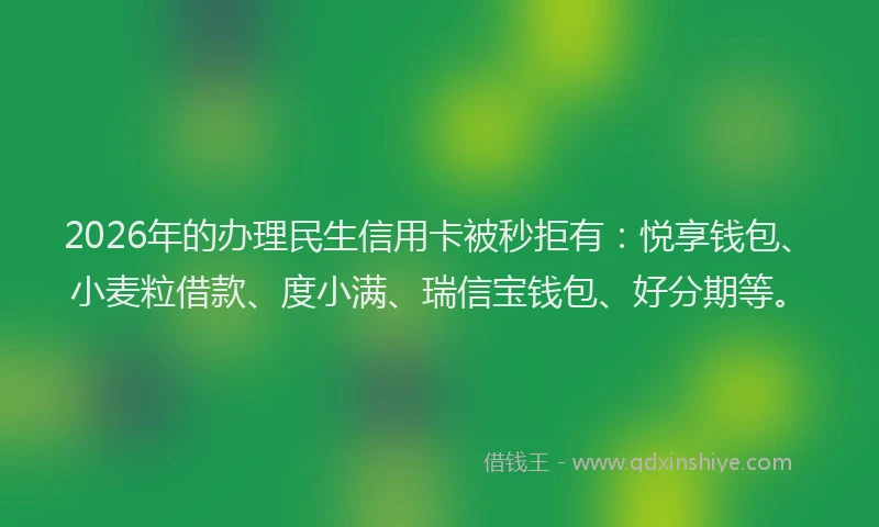 2026年的办理民生信用卡被秒拒有：悦享钱包、小麦粒借款、度小满、瑞信宝钱包、好分期等。