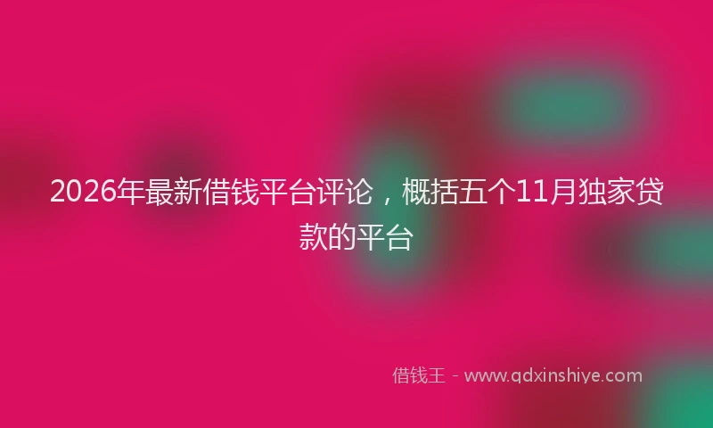 2026年最新借钱平台评论，概括五个11月独家贷款的平台