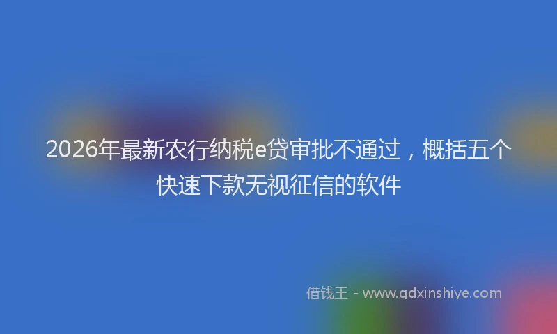 2026年最新农行纳税e贷审批不通过，概括五个快速下款无视征信的软件
