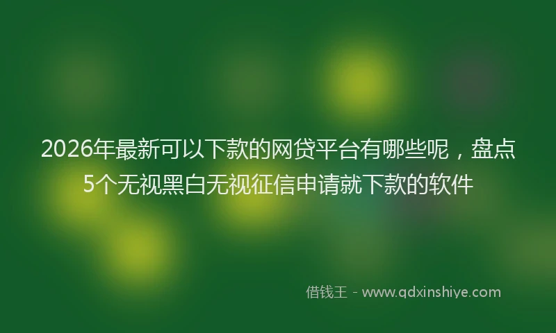 2026年最新可以下款的网贷平台有哪些呢，盘点5个无视黑白无视征信申请就下款的软件