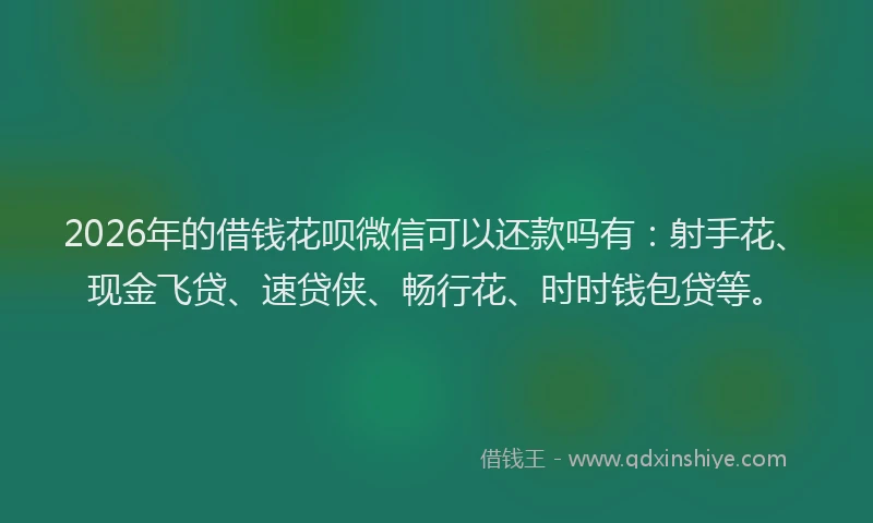 2026年的借钱花呗微信可以还款吗有：射手花、现金飞贷、速贷侠、畅行花、时时钱包贷等。