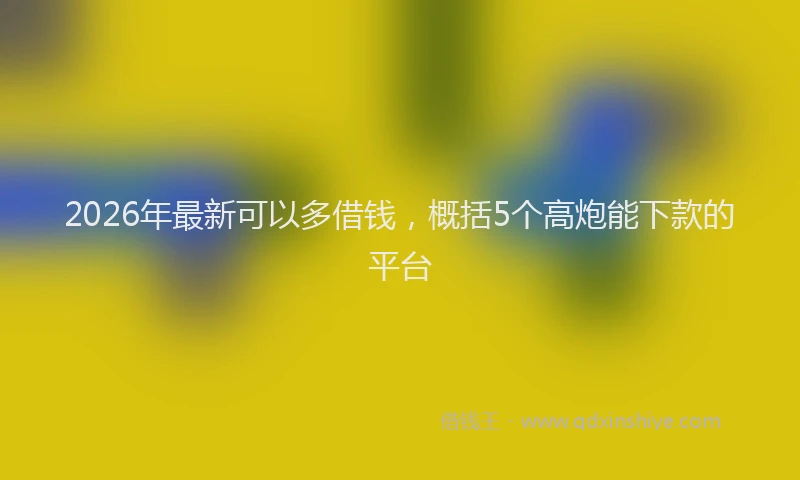 2026年最新可以多借钱，概括5个高炮能下款的平台