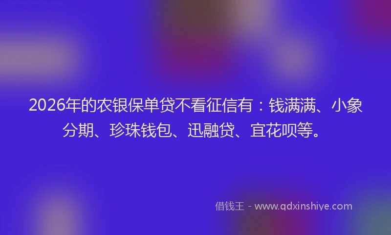 2026年的农银保单贷不看征信有：钱满满、小象分期、珍珠钱包、迅融贷、宜花呗等。