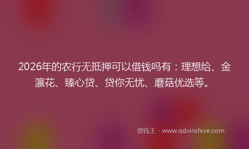 2026年的农行无抵押可以借钱吗有：理想给、金瀛花、臻心贷、贷你无忧、蘑菇优选等。