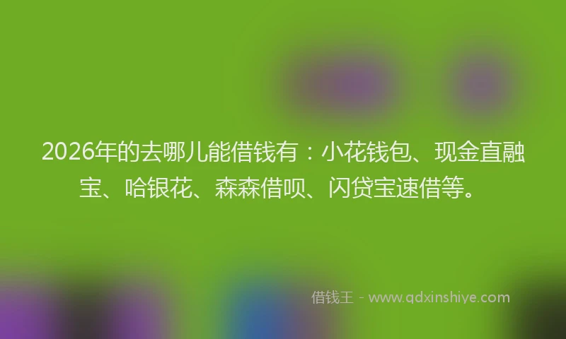 2026年的去哪儿能借钱有：小花钱包、现金直融宝、哈银花、森森借呗、闪贷宝速借等。