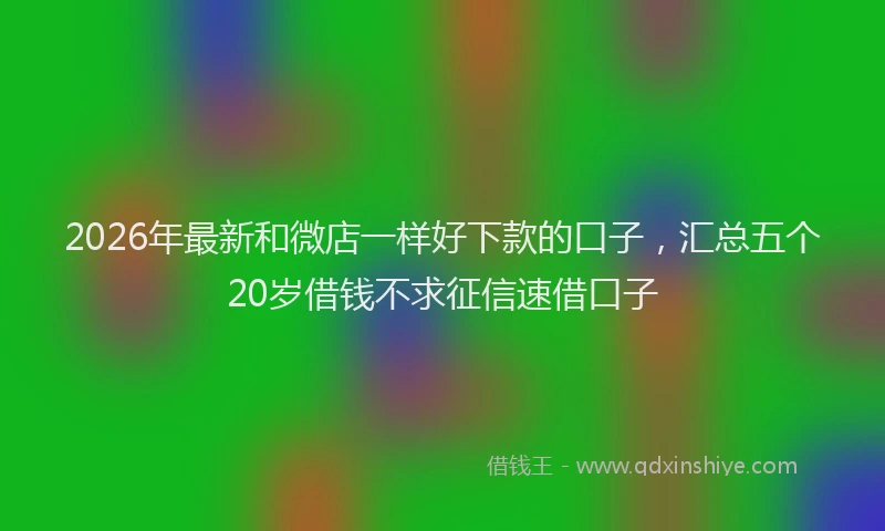 2026年最新和微店一样好下款的口子,汇总五个20岁借钱不求征信速借口子