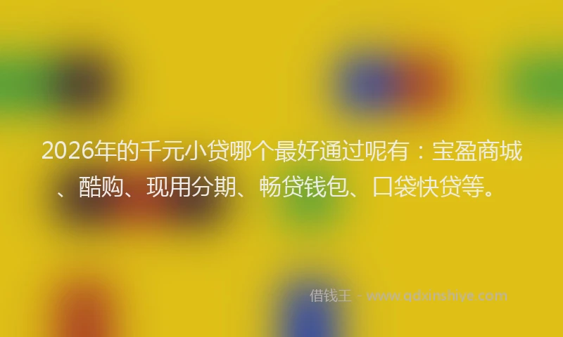 2026年的千元小贷哪个最好通过呢有:宝盈商城、酷购、现用分期、畅贷钱包、口袋快贷等。