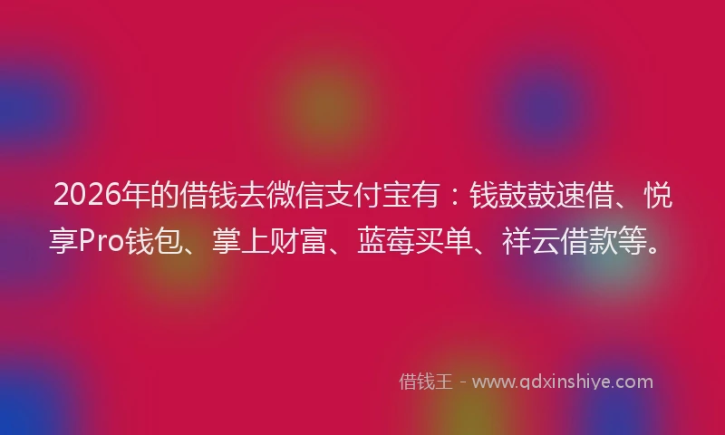 2026年的借钱去微信支付宝有：钱鼓鼓速借、悦享Pro钱包、掌上财富、蓝莓买单、祥云借款等。