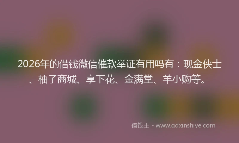2026年的借钱微信催款举证有用吗有：现金侠士、柚子商城、享下花、金满堂、羊小购等。