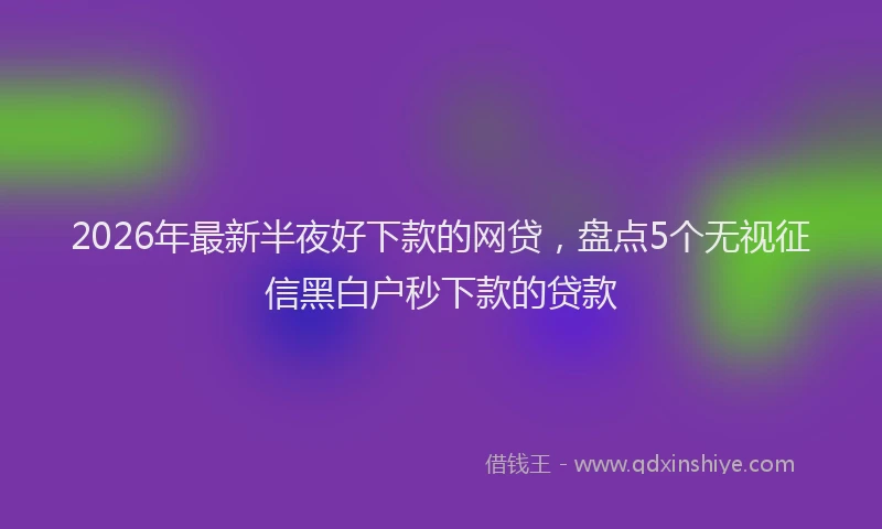 2026年最新半夜好下款的网贷，盘点5个无视征信黑白户秒下款的贷款