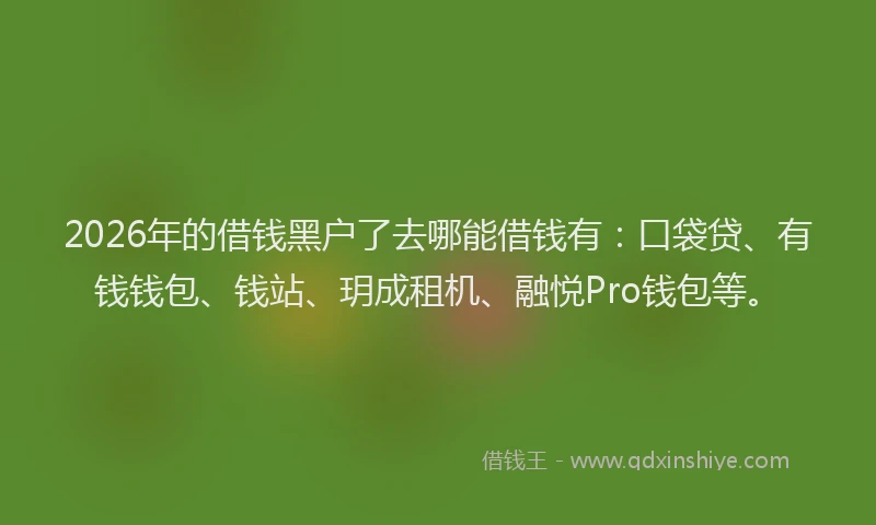 2026年的借钱黑户了去哪能借钱有：口袋贷、有钱钱包、钱站、玥成租机、融悦Pro钱包等。