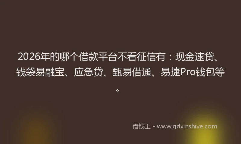 2026年的哪个借款平台不看征信有：现金速贷、钱袋易融宝、应急贷、甄易借通、易捷Pro钱包等。
