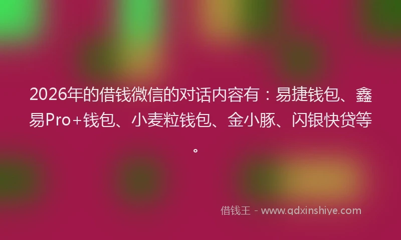 2026年的借钱微信的对话内容有：易捷钱包、鑫易Pro+钱包、小麦粒钱包、金小豚、闪银快贷等。