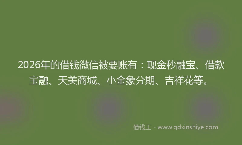 2026年的借钱微信被要账有：现金秒融宝、借款宝融、天美商城、小金象分期、吉祥花等。