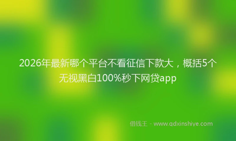 2026年最新哪个平台不看征信下款大,概括5个无视黑白100%秒下网贷app