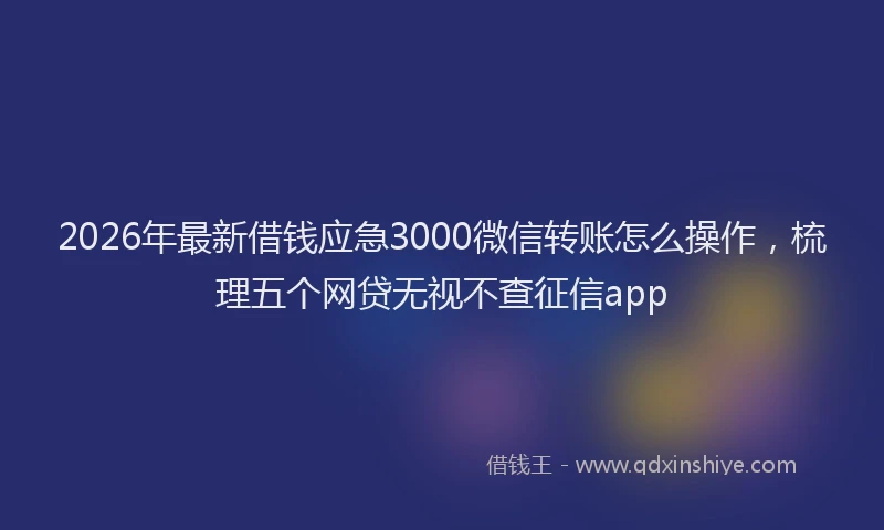 2026年最新借钱应急3000微信转账怎么操作，梳理五个网贷无视不查征信app