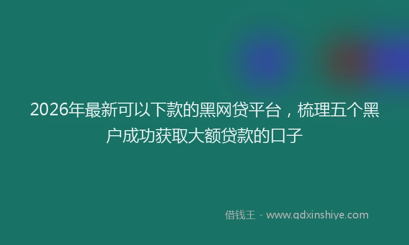 2026年最新可以下款的黑网贷平台,梳理五个黑户成功获取大额贷款的口子