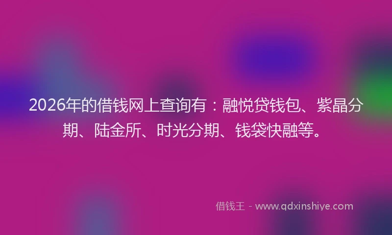 2026年的借钱网上查询有：融悦贷钱包、紫晶分期、陆金所、时光分期、钱袋快融等。