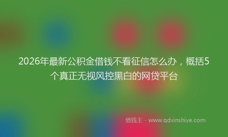2026年最新公积金借钱不看征信怎么办，概括5个真正无视风控黑白的网贷平台