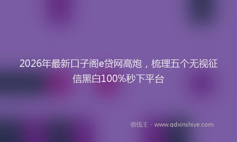 2026年最新口子阁e贷网高炮,梳理五个无视征信黑白100%秒下平台