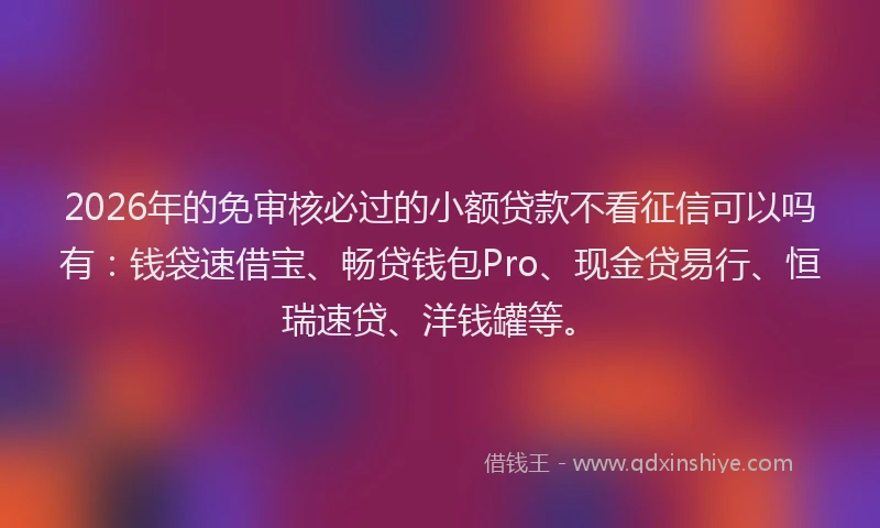 2026年的免审核必过的小额贷款不看征信可以吗有：钱袋速借宝、畅贷钱包Pro、现金贷易行、恒瑞速贷、洋钱罐等。
