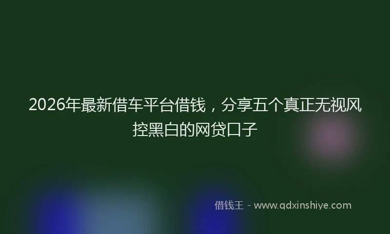 2026年最新借车平台借钱，分享五个真正无视风控黑白的网贷口子