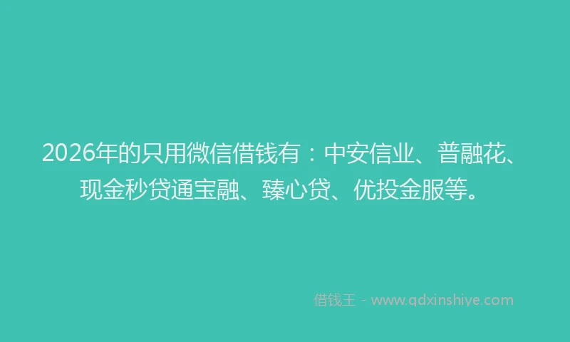 2026年的只用微信借钱有:中安信业、普融花、现金秒贷通宝融、臻心贷、优投金服等。
