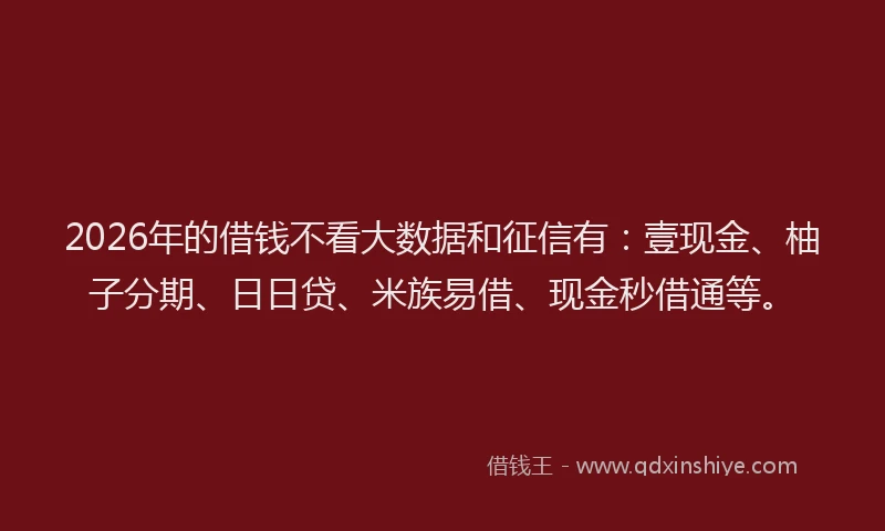 2026年的借钱不看大数据和征信有：壹现金、柚子分期、日日贷、米族易借、现金秒借通等。