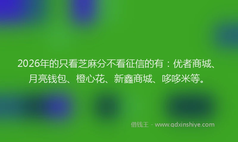 2026年的只看芝麻分不看征信的有:优者商城、月亮钱包、橙心花、新鑫商城、哆哆米等。