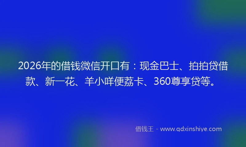 2026年的借钱微信开口有:现金巴士、拍拍贷借款、新一花、羊小咩便荔卡、360尊享贷等。