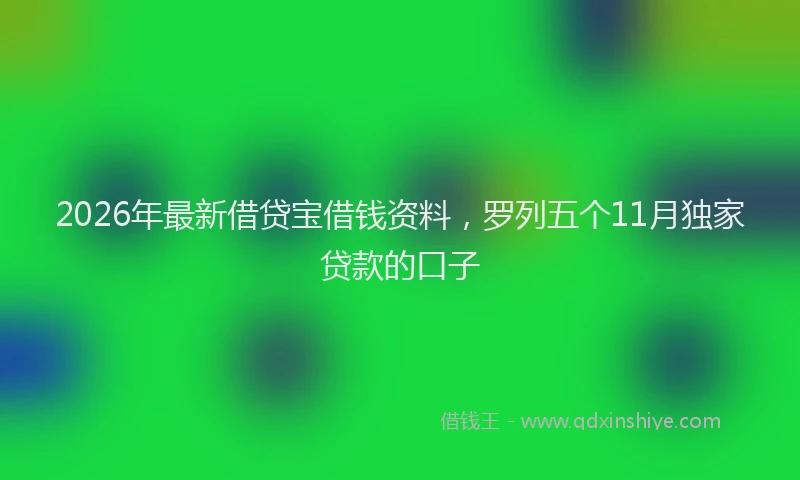 2026年最新借贷宝借钱资料，罗列五个11月独家贷款的口子
