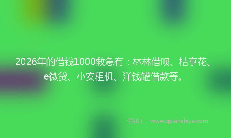 2026年的借钱1000救急有：林林借呗、桔享花、e微贷、小安租机、洋钱罐借款等。