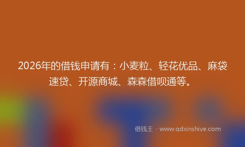 2026年的借钱申请有：小麦粒、轻花优品、麻袋速贷、开源商城、森森借呗通等。