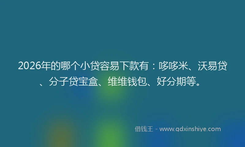 2026年的哪个小贷容易下款有:哆哆米、沃易贷、分子贷宝盒、维维钱包、好分期等。
