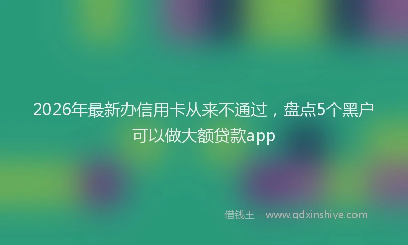 2026年最新办信用卡从来不通过，盘点5个黑户可以做大额贷款app
