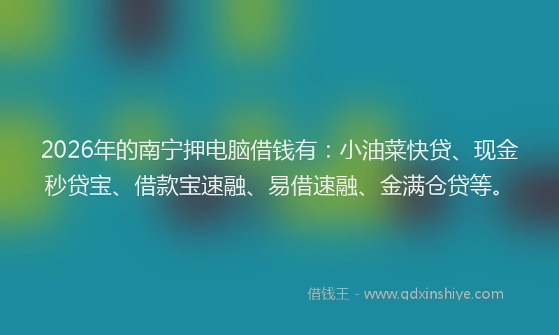 2026年的南宁押电脑借钱有:小油菜快贷、现金秒贷宝、借款宝速融、易借速融、金满仓贷等。