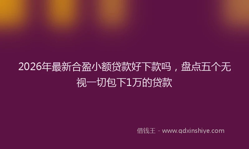 2026年最新合盈小额贷款好下款吗，盘点五个无视一切包下1万的贷款