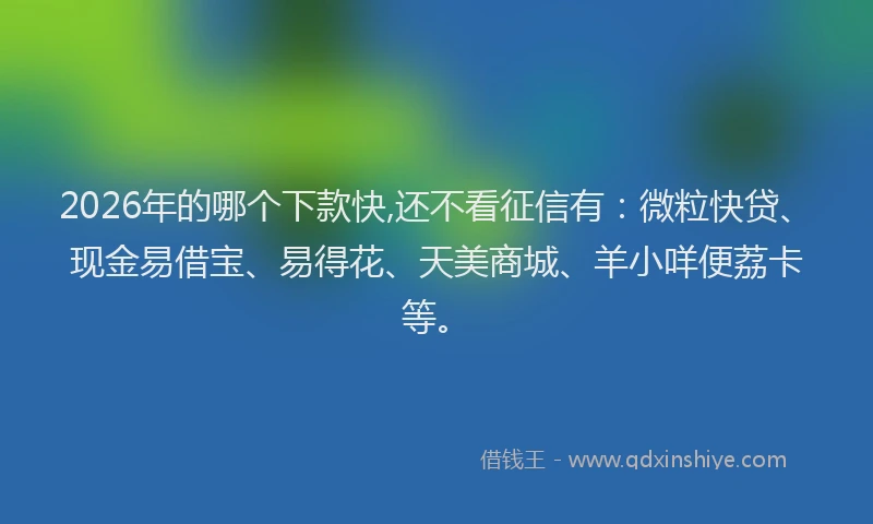 2026年的哪个下款快,还不看征信有：微粒快贷、现金易借宝、易得花、天美商城、羊小咩便荔卡等。