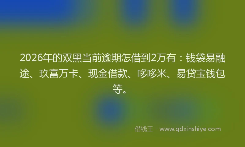 2026年的双黑当前逾期怎借到2万有：钱袋易融途、玖富万卡、现金借款、哆哆米、易贷宝钱包等。