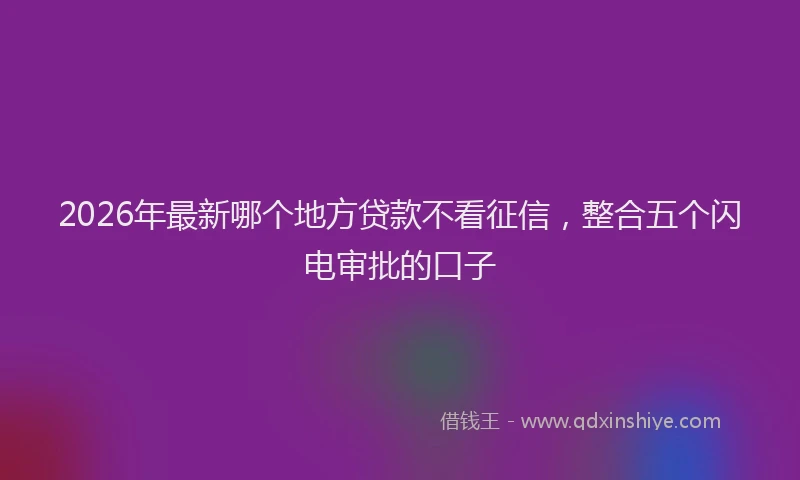2026年最新哪个地方贷款不看征信,整合五个闪电审批的口子
