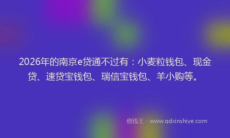 2026年的南京e贷通不过有：小麦粒钱包、现金贷、速贷宝钱包、瑞信宝钱包、羊小购等。