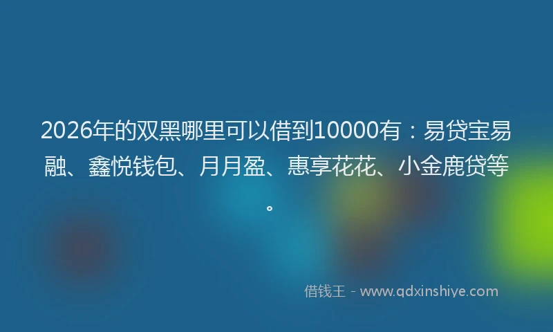 2026年的双黑哪里可以借到10000有:易贷宝易融、鑫悦钱包、月月盈、惠享花花、小金鹿贷等。