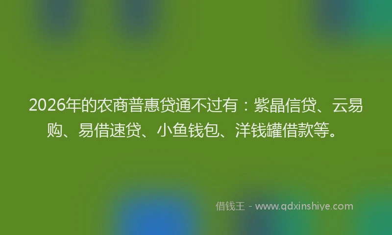 2026年的农商普惠贷通不过有：紫晶信贷、云易购、易借速贷、小鱼钱包、洋钱罐借款等。