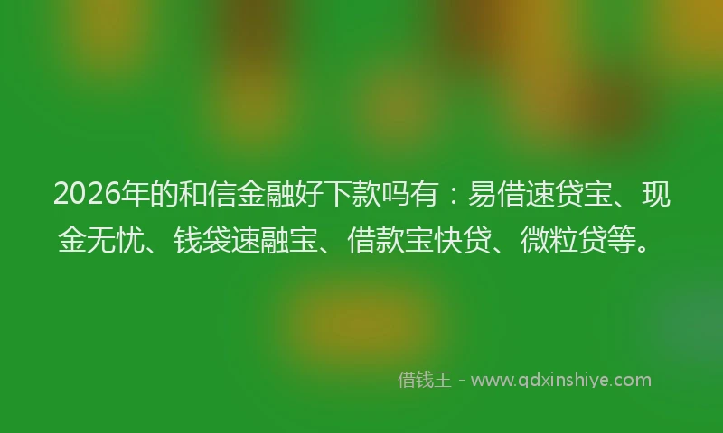 2026年的和信金融好下款吗有：易借速贷宝、现金无忧、钱袋速融宝、借款宝快贷、微粒贷等。