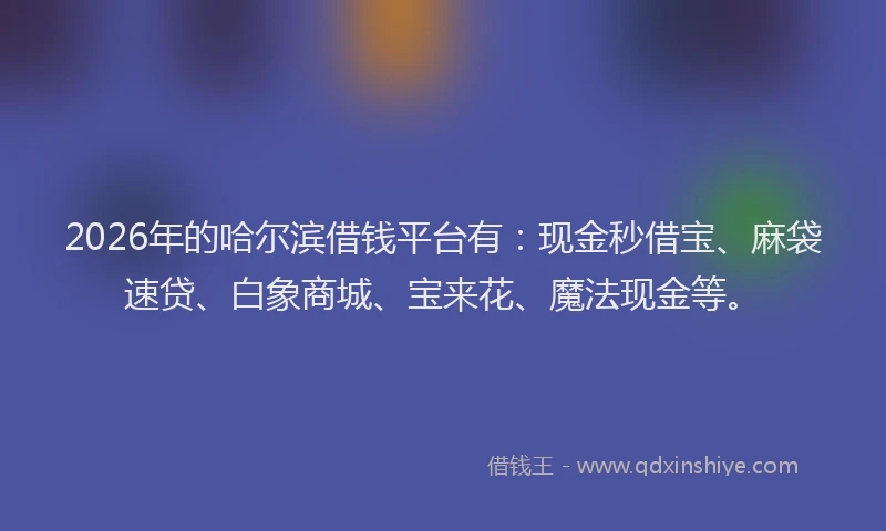 2026年的哈尔滨借钱平台有：现金秒借宝、麻袋速贷、白象商城、宝来花、魔法现金等。