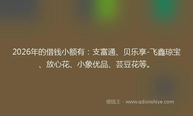 2026年的借钱小额有:支富通、贝乐享-飞鑫琼宝、放心花、小象优品、芸豆花等。