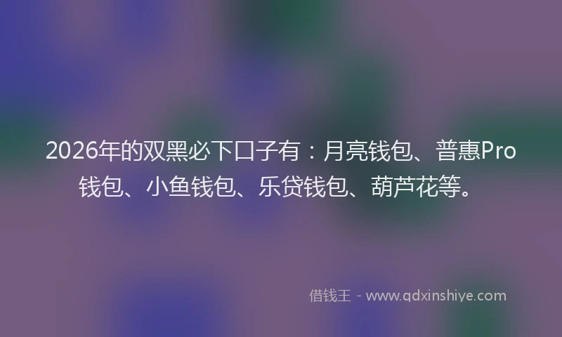 2026年的双黑必下口子有：月亮钱包、普惠Pro钱包、小鱼钱包、乐贷钱包、葫芦花等。