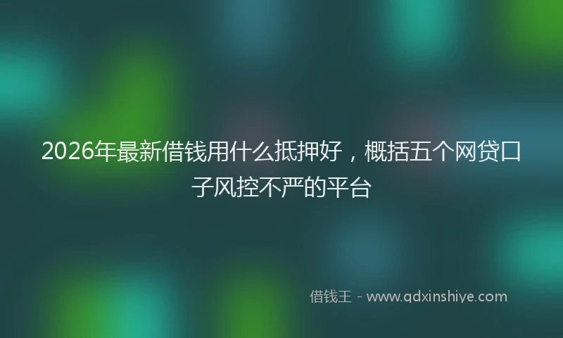 2026年最新借钱用什么抵押好，概括五个网贷口子风控不严的平台